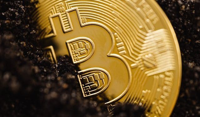 Bitcoin Dominance: Is the King of Crypto Losing Its Crown?